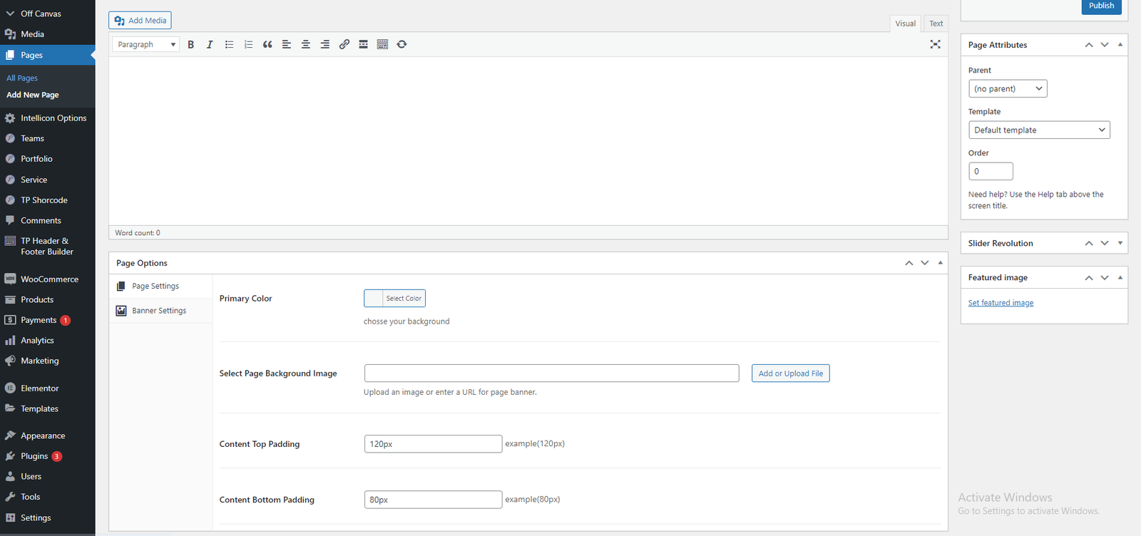 Page Options