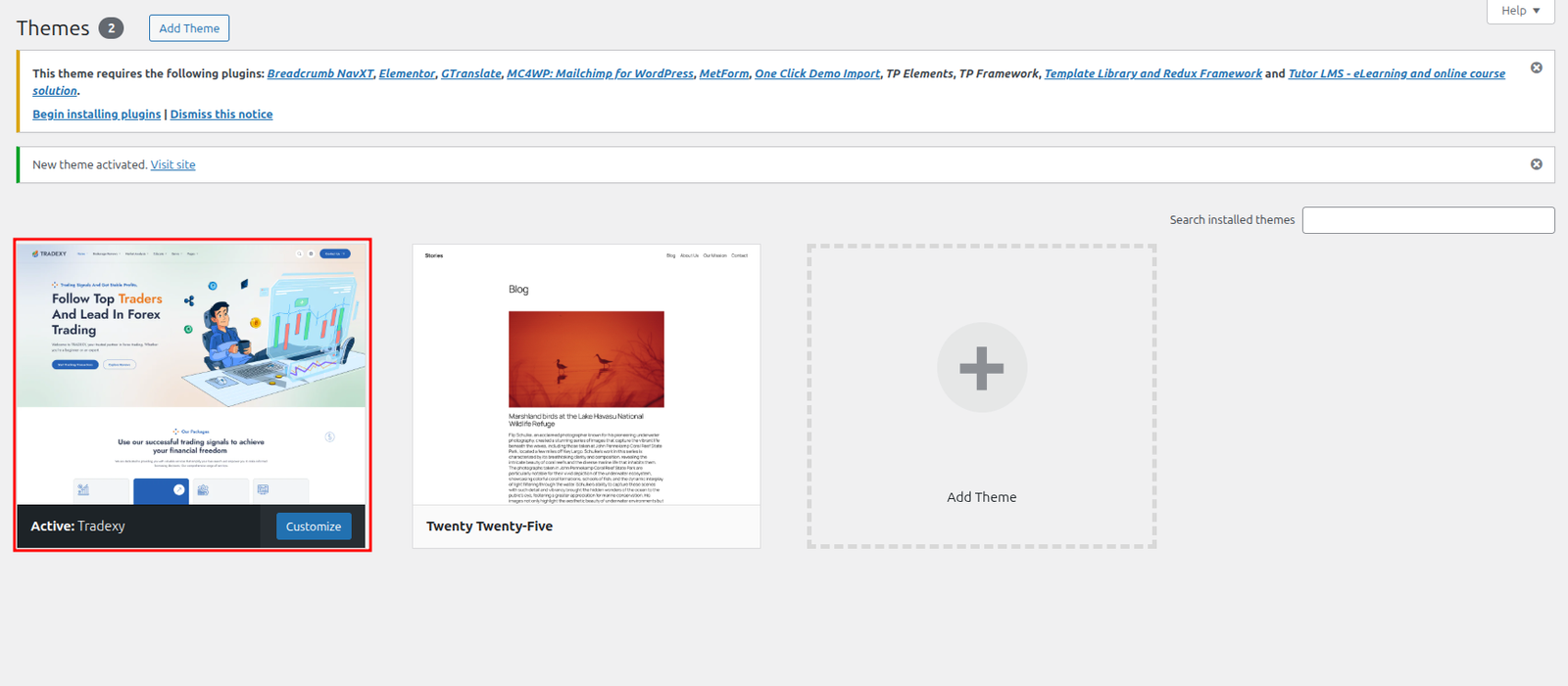 Theme Active