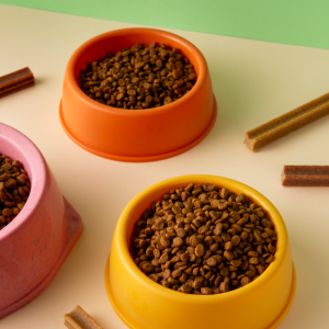 Pet-accessories